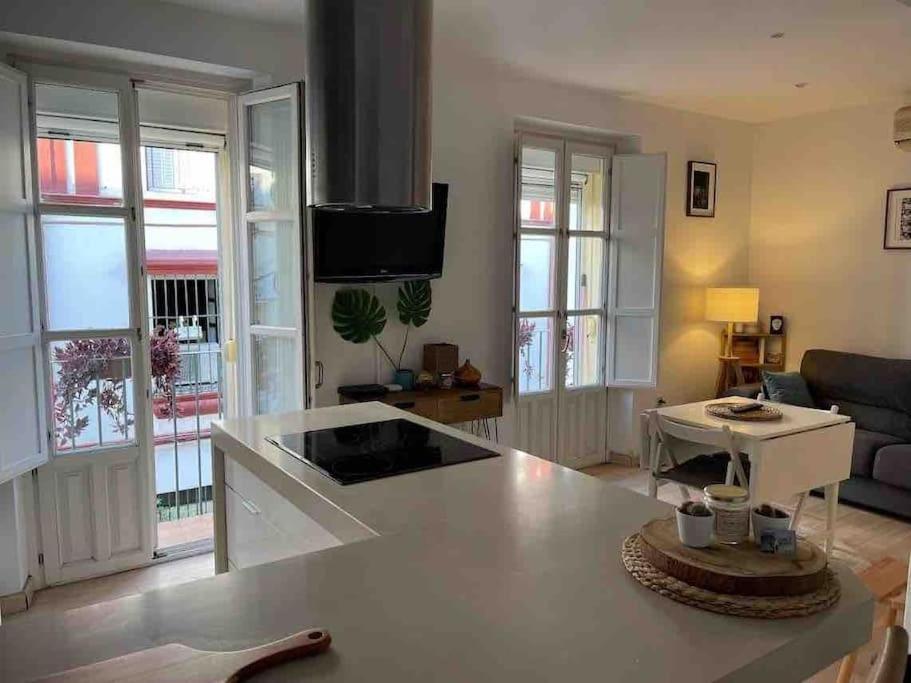 180 Casa Rodrigo De Triana Appartement